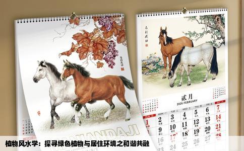 植物风水学：探寻绿色植物与居住环境之和谐共融