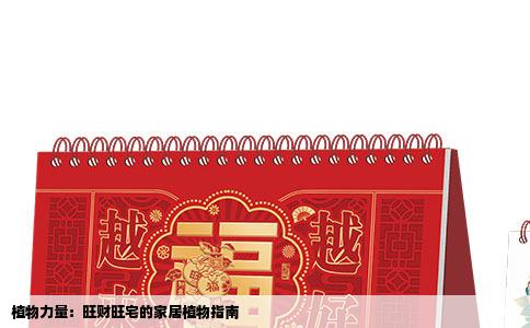 植物力量：旺财旺宅的家居植物指南