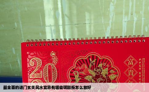 最全面的进门玄关风水宜忌有哪些呢鞋柜怎么放好